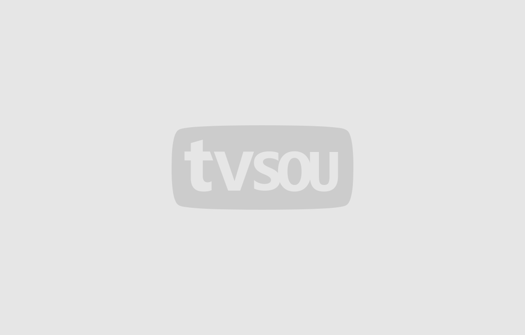 电影特攻蜂鸟是谁演的_电影特攻蜂鸟在线观看_蜂鸟特攻电影