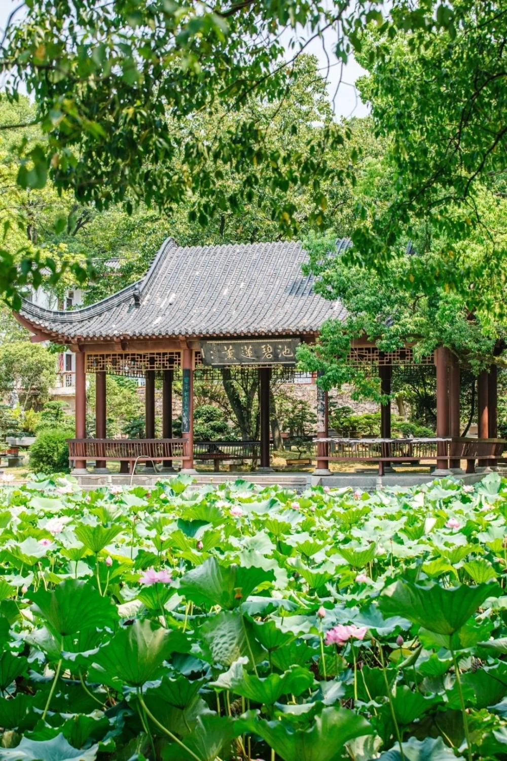 dnf红眼tp点怎么加_dnf阿修罗tp点怎么加_tp钱包加池子