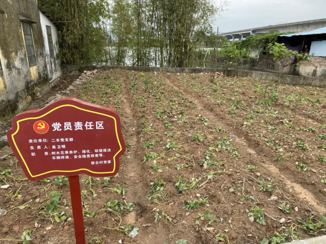 钱包安全_imtoken钱包风险_tp钱包有风险吗