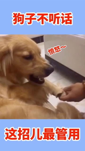 tp怎么添加观察钱包_tp钱包观察钱包怎么删除_钱包观察地址
