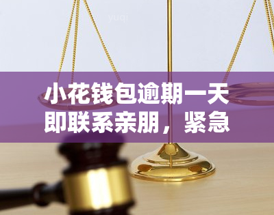 钱包客服电话是多少_钱包客户电话是多少_tp钱包在线客服在哪