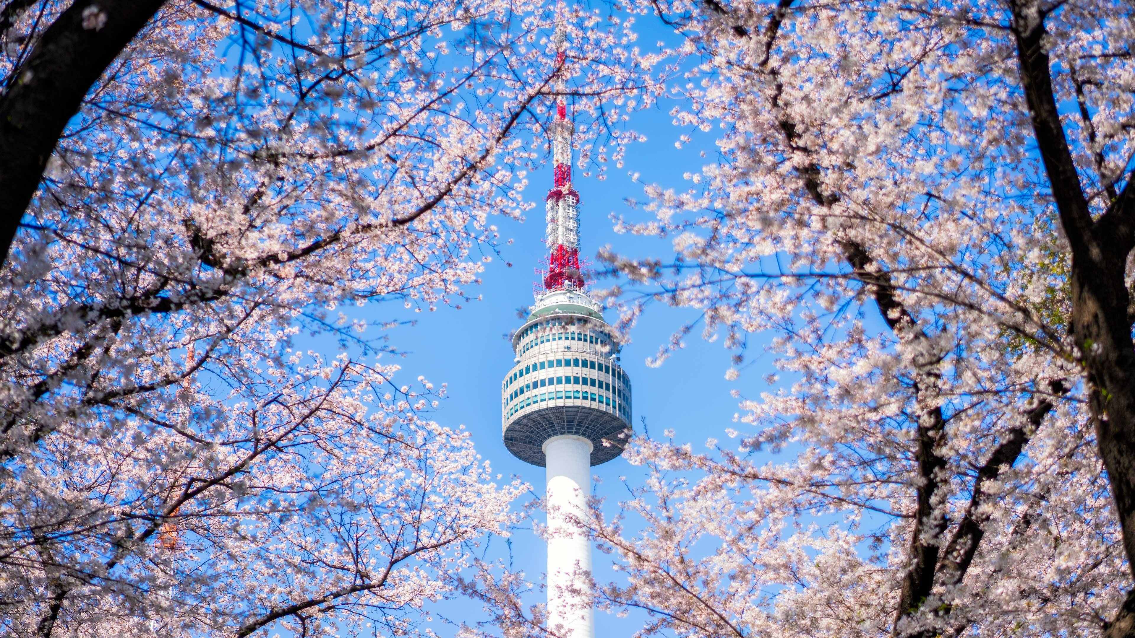 韩国过五一吗_韩国五一假期_韩国五一是什么节日