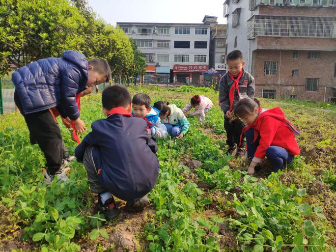 改过名字的游戏_怎么给游戏改名字手机版_修改名字软件游戏