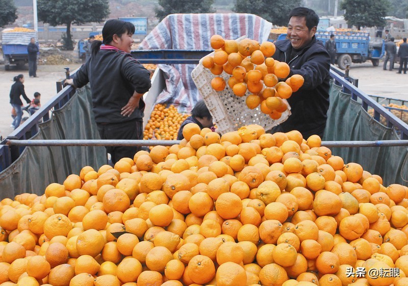 艾丝蒂尔约修亚_艾丝蒂尔·布莱特_艾丝蒂尔布莱特