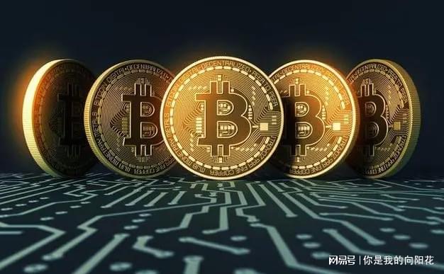 imtoken网站地址_ip查询地址网站_如何使用域名访问ip地址网站