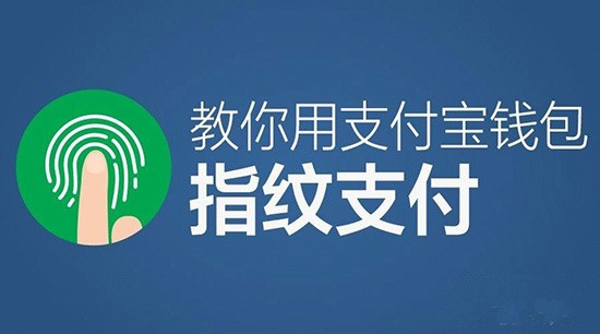 麦子钱包sol_麦子钱包使用教程_麦子钱包 tp钱包