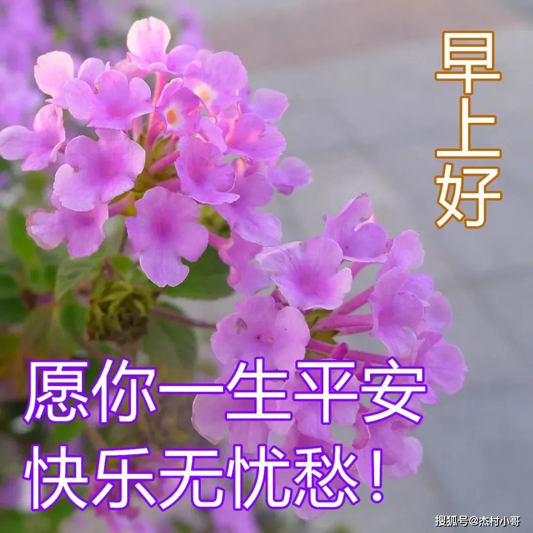 手机玩的飞机游戏_手机飞机类游戏_可以用小飞机的游戏手机
