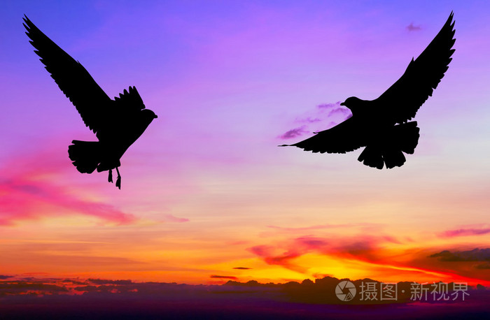 手机飞机类游戏_可以用小飞机的游戏手机_手机玩的飞机游戏