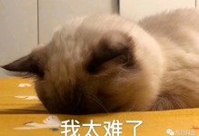 钱包电话号码是多少_tp钱包电话_钱包电话权限怎么设置