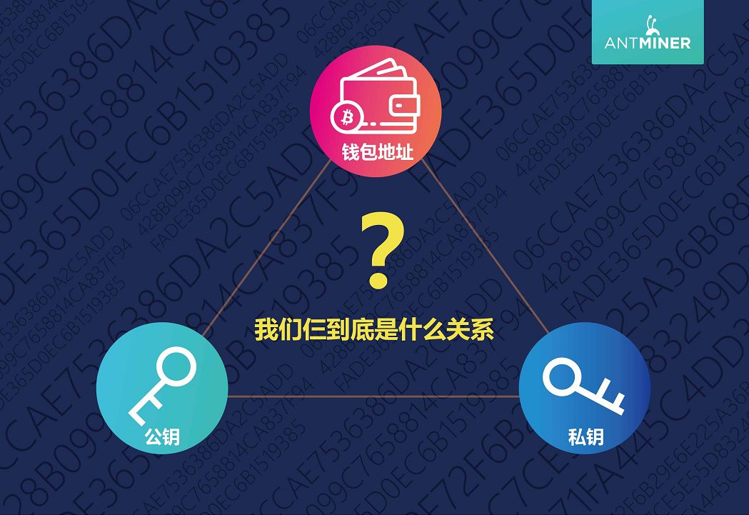 tp钱包助记词泄露了怎么办_家庭助廉活动主持词_信息泄露被办信用卡