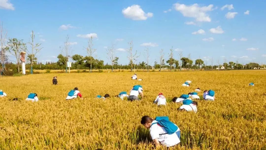模拟人生4手机云游戏大全_云游戏模拟器_模拟戏大全云游人生手机怎么玩
