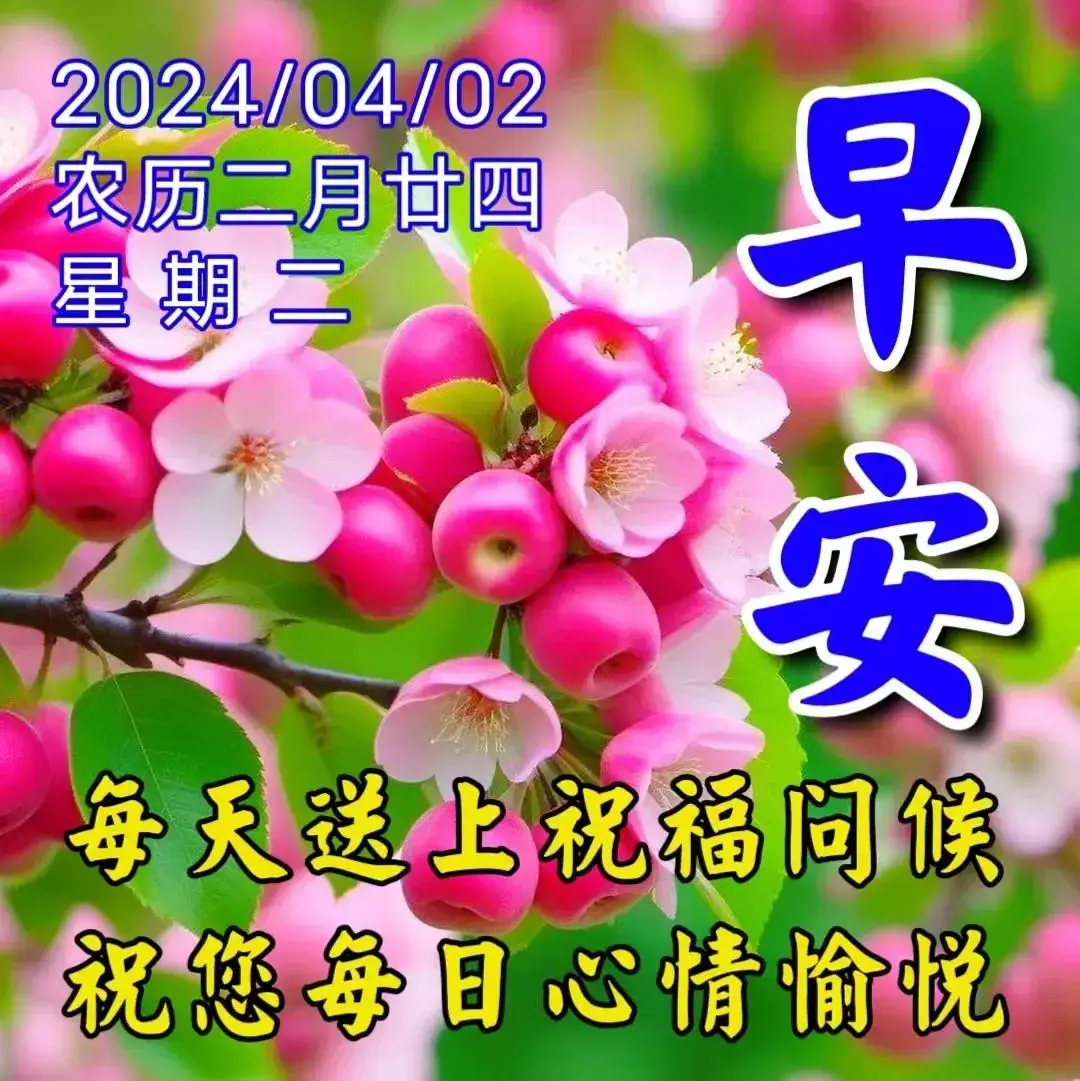 微信钱包平台客服电话_微信钱包客服电话号码是多少_tp钱包客服微信