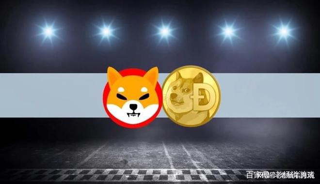 狗狗币怎么转到tp钱包_狗狗币钱包转账_狗狗币钱包怎么转出