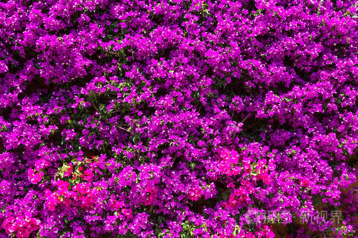 tp钱包怎么清理授权_tp钱包怎么关闭授权_钱包取消授权