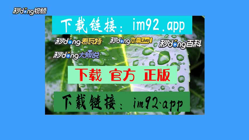 转换中文版_转换中文按哪个键_imtoken怎么转换中文