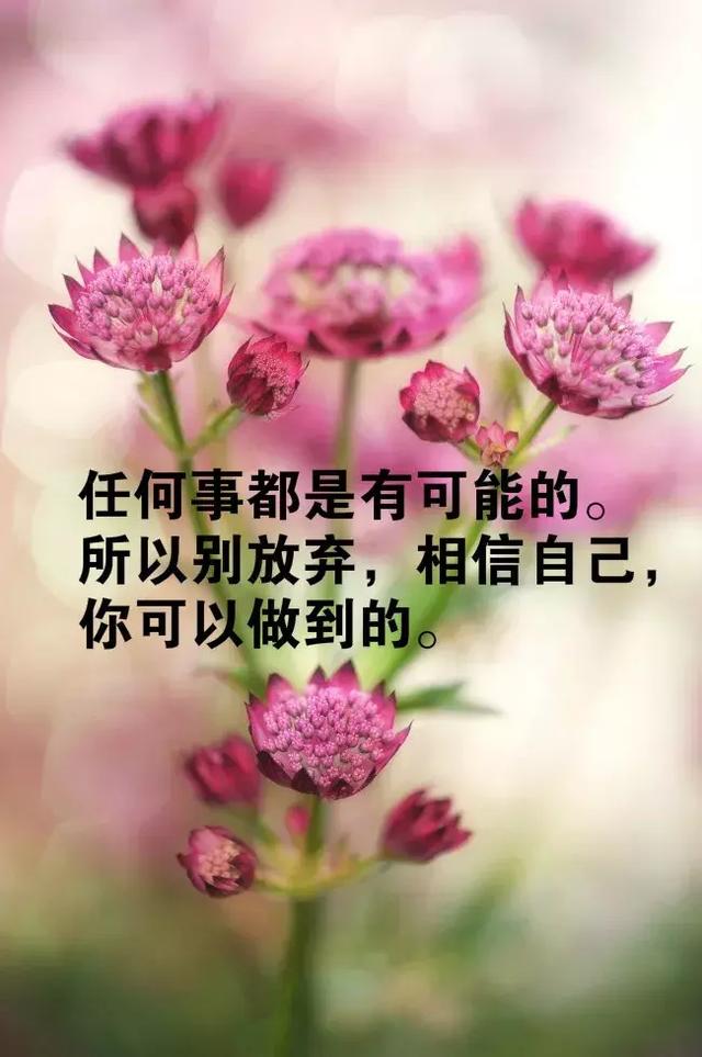 真那_真那_真那