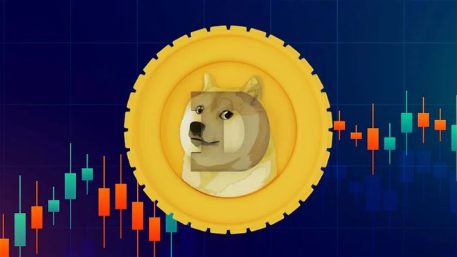 doge tp钱包_doge_钱包英语
