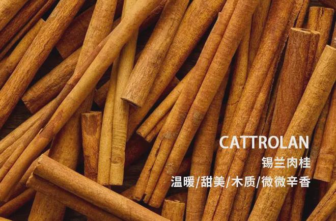 转账失败rj11_im钱包转账失败会怎么样_im钱包转账失败