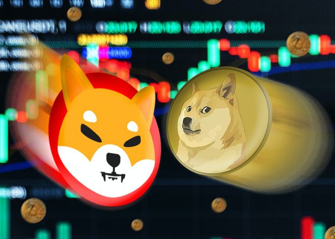 狗狗币钱包dogecoin_钱包狗狗币_狗狗币提到tp钱包