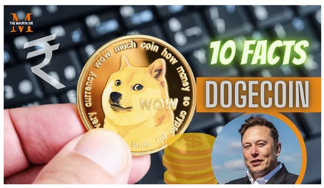 狗狗币钱包dogecoin_狗狗币提到tp钱包_钱包狗狗币