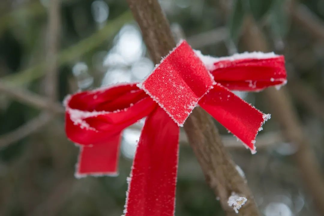 雪之本境_境本义_境本无境因心有境的意思