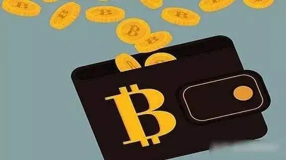 tp钱包币不见了_钱包币是啥_币的钱包是什么意思