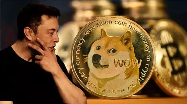 狗狗币钱包dogecoin_钱包里的狗狗币怎么卖_tp钱包买狗狗币