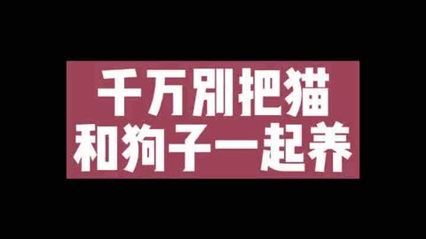 狗狗宝钱包下载官网手机版_TP钱包买宝贝狗_狗狗宝钱包是传销吗