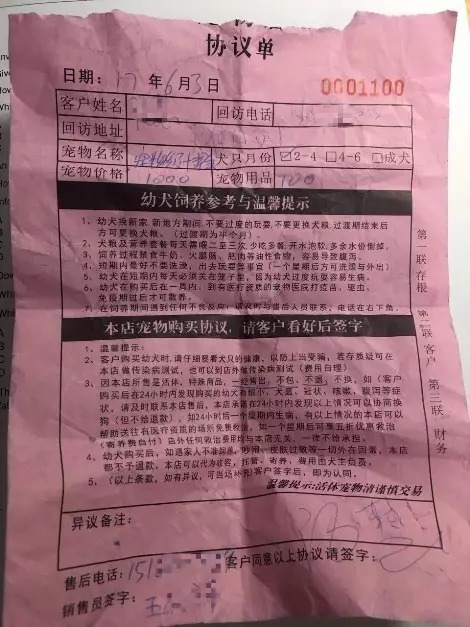 TP钱包买宝贝狗_狗狗宝钱包下载官网手机版_狗狗宝钱包是传销吗