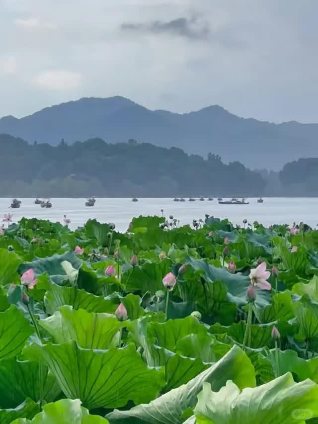 钱包地址查看_token钱包地址在哪生成_imtoken怎么看钱包地址