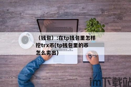 tp钱包卖出教程,轻松操作，安全交易(图2)
