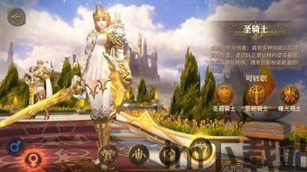 等级达到多少级可以开启圣光骑士殿堂,等级解锁之谜(图12)