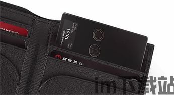 狐狸钱包多重签名,安全与便捷的加密货币存储新选择(图4) 狐狸钱包多重签名,安全与便捷的加密货币存储新选择(图4)
