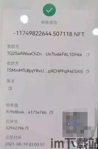 tp钱包自定义代币合约地址,TP钱包自定义代币合约地址的添加方法详解(图7) tp钱包自定义代币合约地址,TP钱包自定义代币合约地址的添加方法详解(图7)