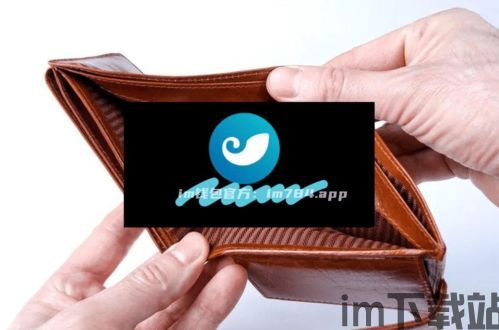 钱包imtoken官网,IMToke钱包官网——您的数字资产安全管家(图4) 钱包imtoken官网,IMToke钱包官网——您的数字资产安全管家(图4)