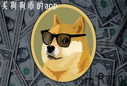 tp钱包买dog,TP钱包购买狗狗币（DOGE）指南(图13)