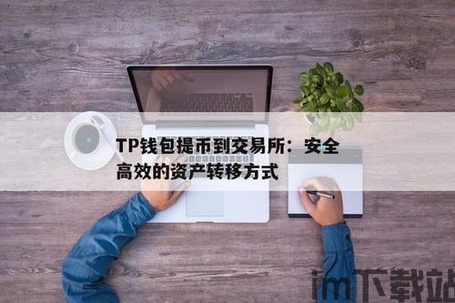 交易所的币怎么转入tp钱包,交易所的币如何转入TP钱包？详细操作指南(图2)