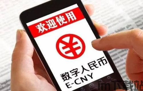 数字人民币显示钱包异常,数字人民币钱包异常处理指南(图2)