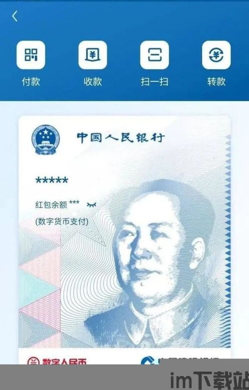 数字人民币显示钱包异常,数字人民币钱包异常处理指南(图5)