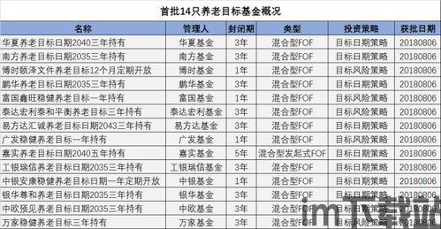 b计划:启程拓殖评分,启程拓殖评分——探索虚拟世界的新维度(图6)