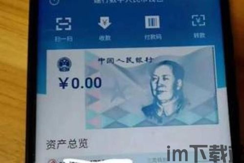 tp钱包自定义代币不显示金额,TP钱包自定义代币添加后资产不显示金额的原因及解决方法(图3)