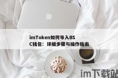 im钱包bsc,跨链时代的数字资产管理新选择(图1)