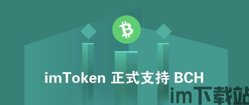 imtoken怎么重新登录,imToke钱包重新登录教程(图11)