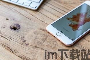 iphone钱包,便捷支付，安全无忧(图5)