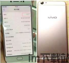 vivo钱包下载最新版本,vivo钱包电脑版下载最新版本(图5)