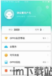 oppo钱包借钱,OPPO钱包借钱——便捷金融服务的贴心选择(图1)