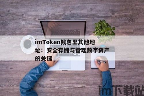 im钱包地址可以给别人吗,ImToken钱包地址可以给别人吗？安全性与使用指南(图3)