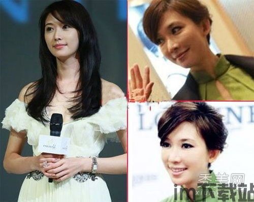辉 林志玲 小说,跨越时空的爱情传奇(图1) 辉 林志玲 小说,跨越时空的爱情传奇(图1)