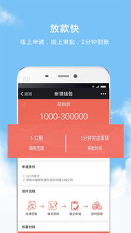 钱包借款可靠吗,钱包借款可靠吗?全面解析各类钱包借款平台(图4) 钱包借款可靠吗,钱包借款可靠吗?全面解析各类钱包借款平台(图4)