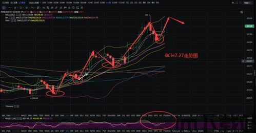 2019星河区块链,五粮液连续19年入选亚洲品牌500强(图5)